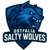 Teamlogo