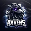 Teamlogo