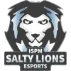 Teamlogo